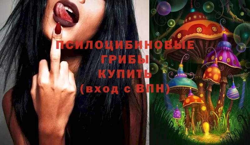 цены   Петропавловск-Камчатский  Псилоцибиновые грибы Cubensis 